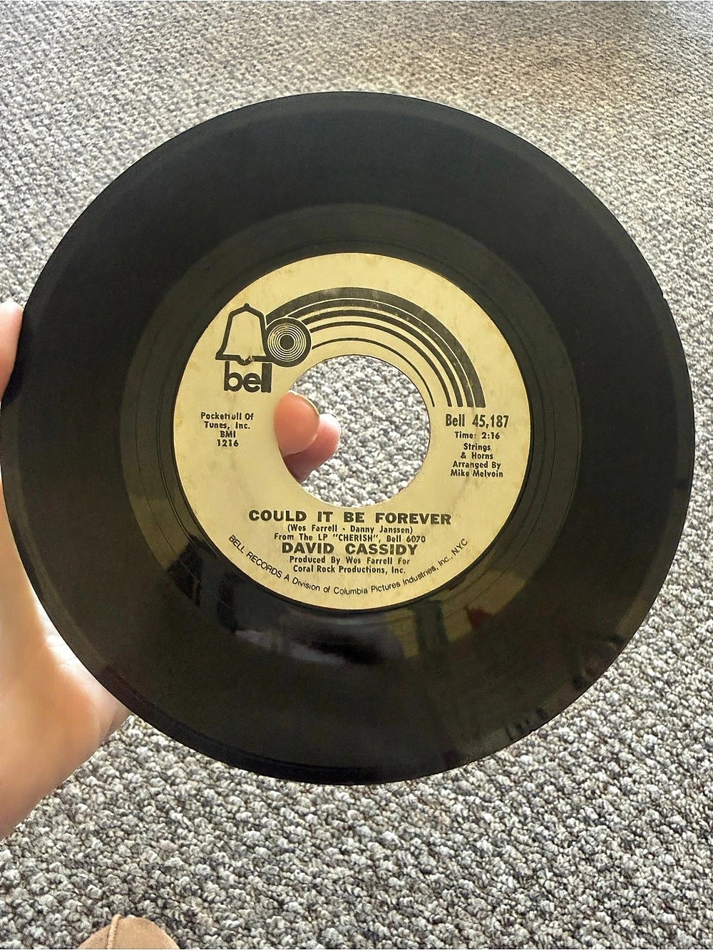 Bell Records Could It Be Forever / Blind Hope 7" Vinyl Record